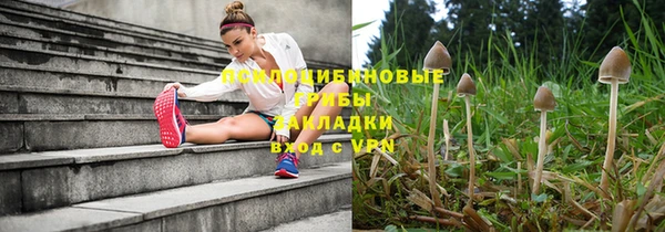 мескалин Белокуриха