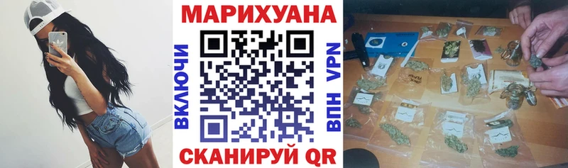 Бошки марихуана THC 21% kraken зеркало Мглин продажа наркотиков